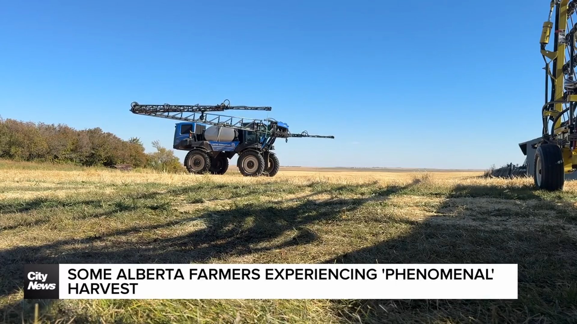 Some Alberta farmers experiencing 'phenomenal' harvests