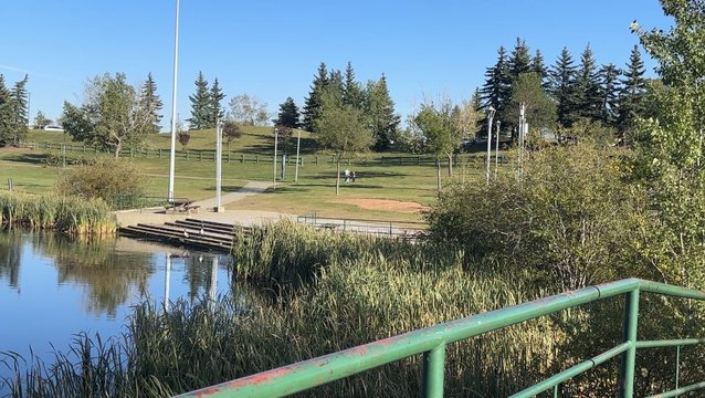Edmonton South Asians finalizing plans with city for central Diwali festival