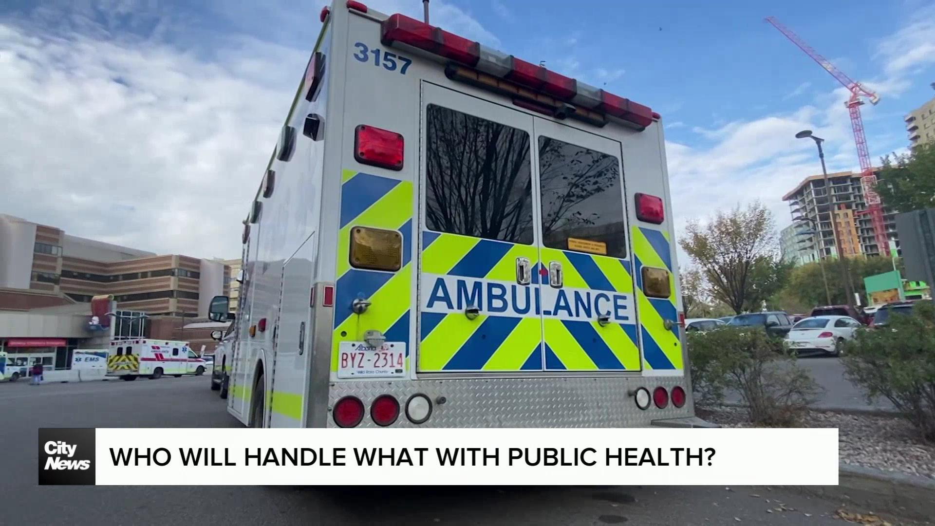 Who will handle what with public health?