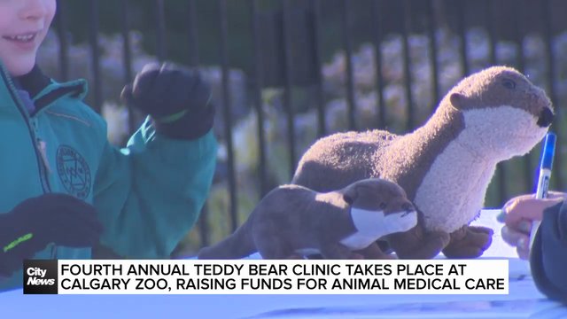 Fourth annual Teddy Bear Clinic takes place at Calgary Zoo, raising funds for animal medical care
