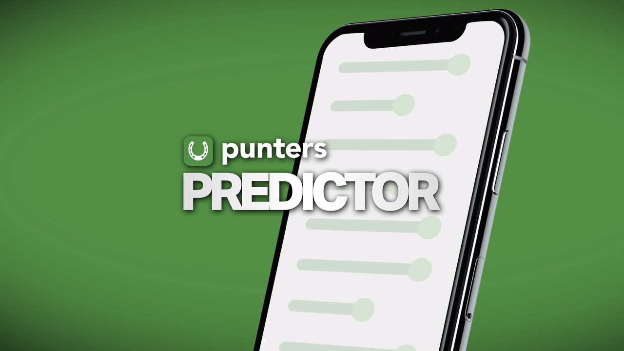How do i learn more about Punters+ Features?