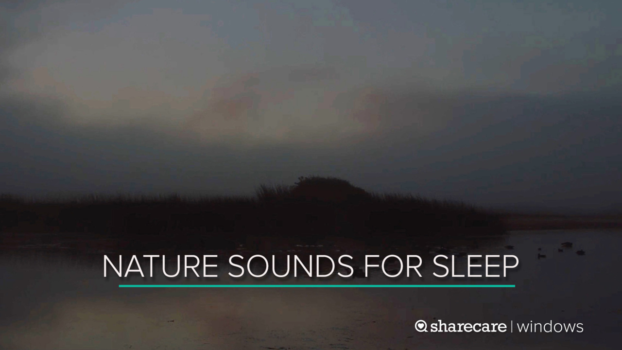 9 Hours of Nighttime Nature Sounds for Sleep (Ultra Low Light)