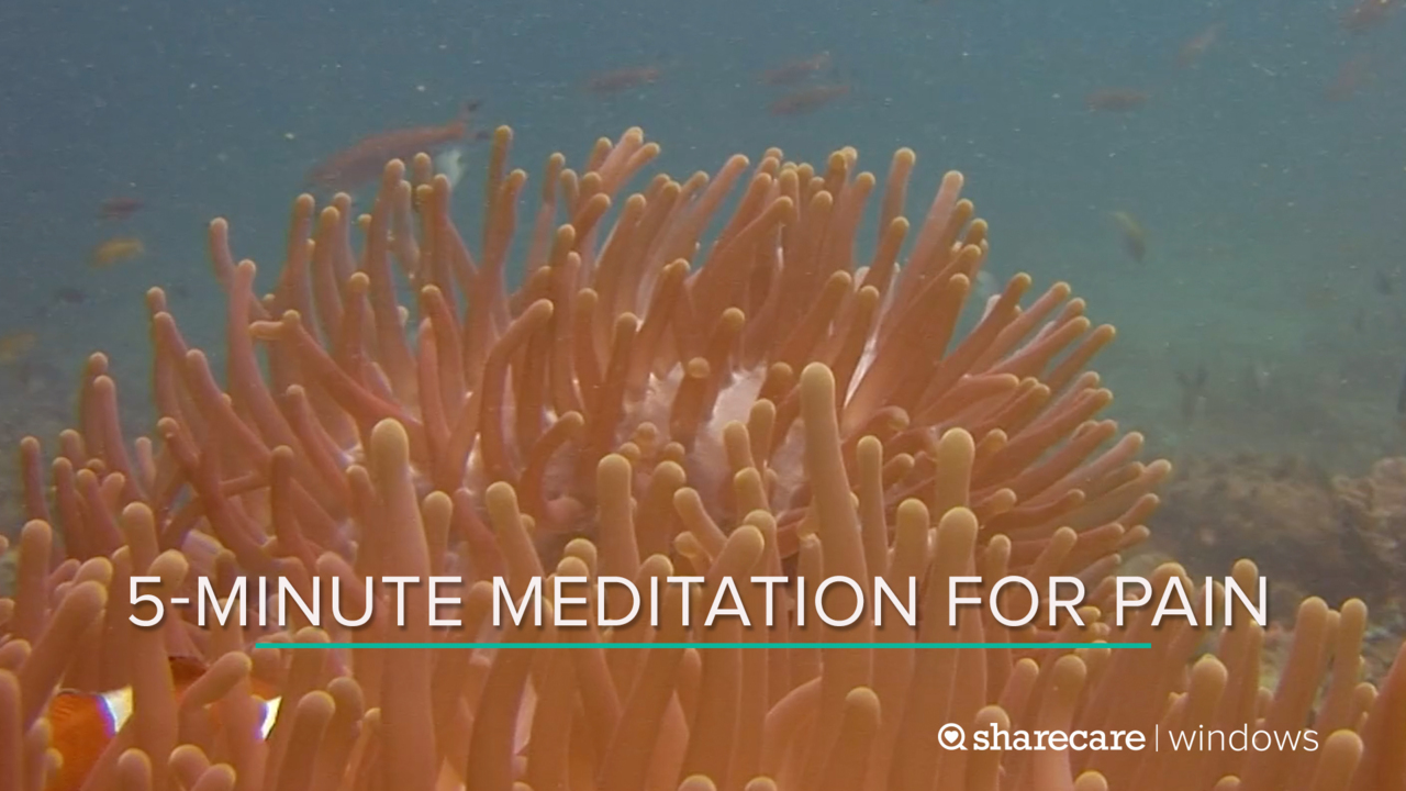 5-Minute Meditation for Pain