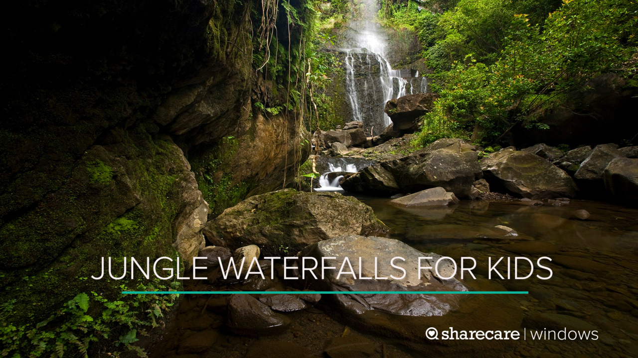 one hour of jungle waterfalls for kids