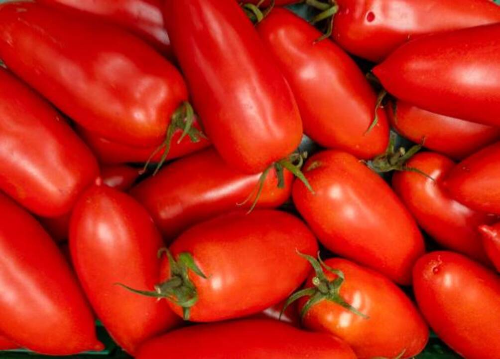 What Is So Special About San Marzano Tomatoes?