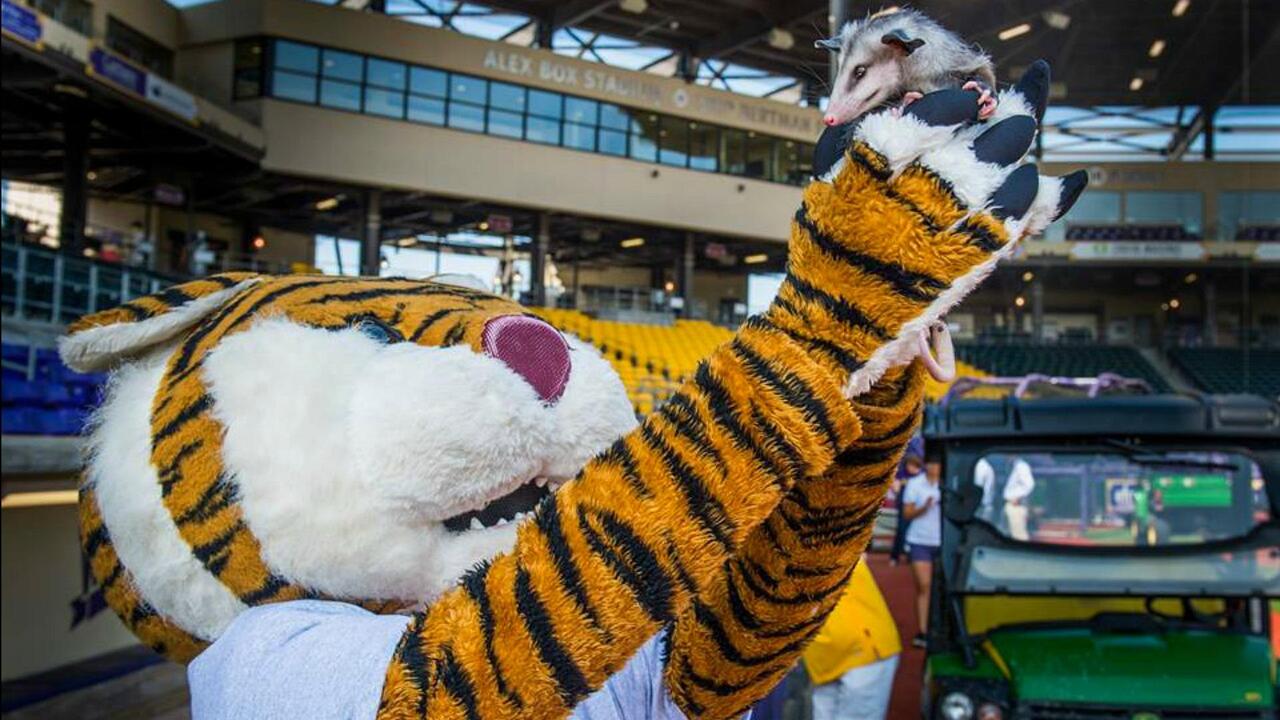 Scripting News: The Mets mascots