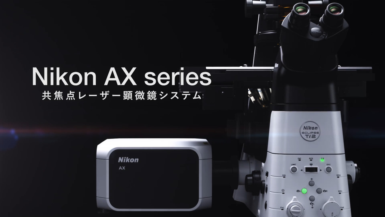 共焦点・多光子励起顕微鏡 | 製品・サービス | 株式会社ニコン