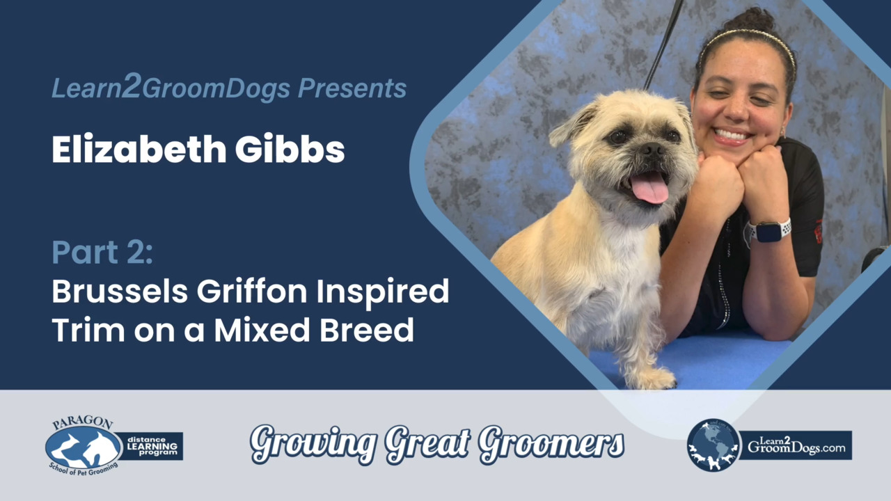 Thumbnail for Brussels Griffon Inspired Trim on a Mixed Breed – Part 2