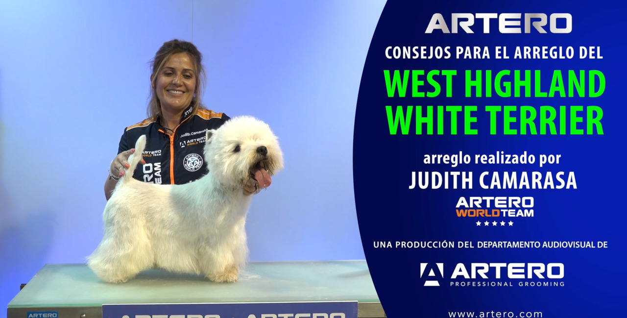 Thumbnail for Peluquería Canina del Westy (West Highland White Terrier) por Judith Camarasa