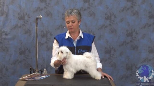 Thumbnail for Grooming a Maltese in a Modified Schnauzer Trim (Part 1 of 2)