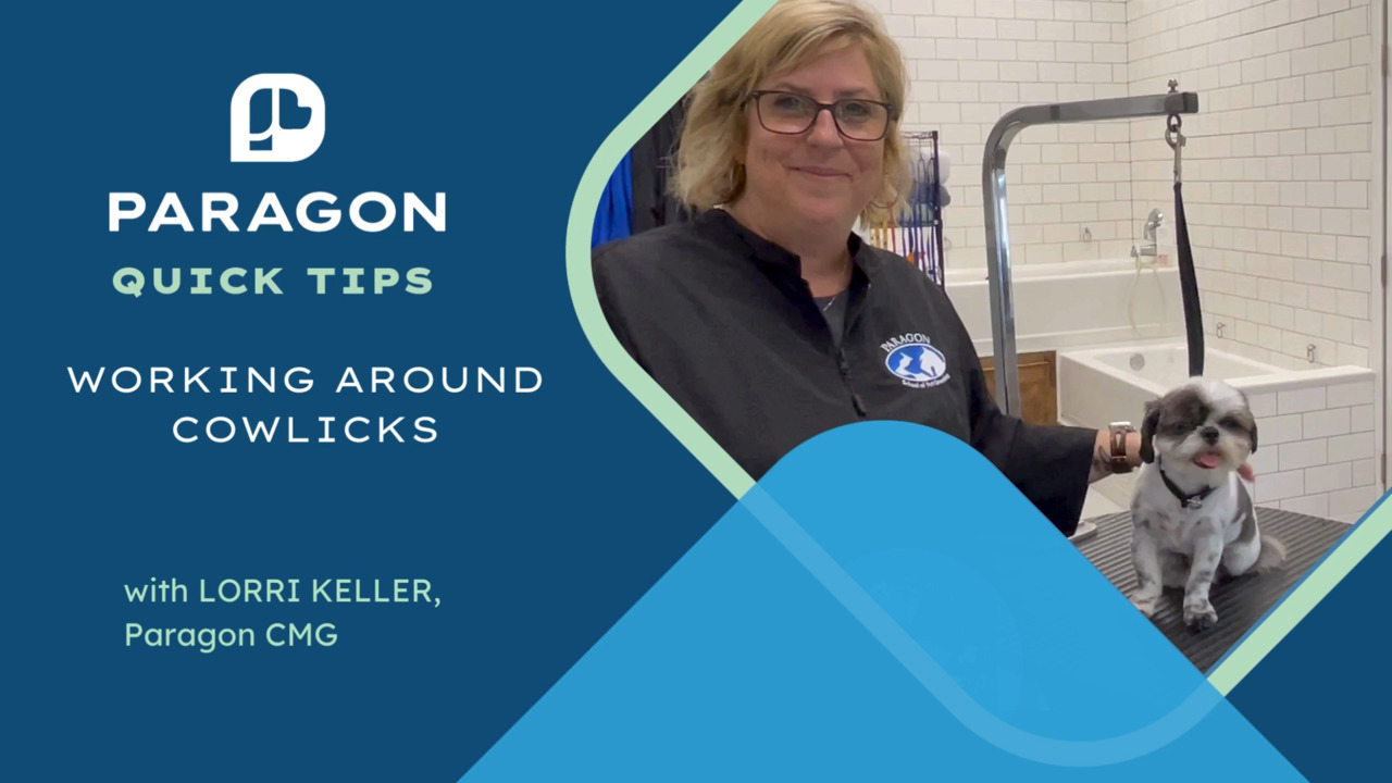 Thumbnail for Quick Tips: Working Around Cowlicks