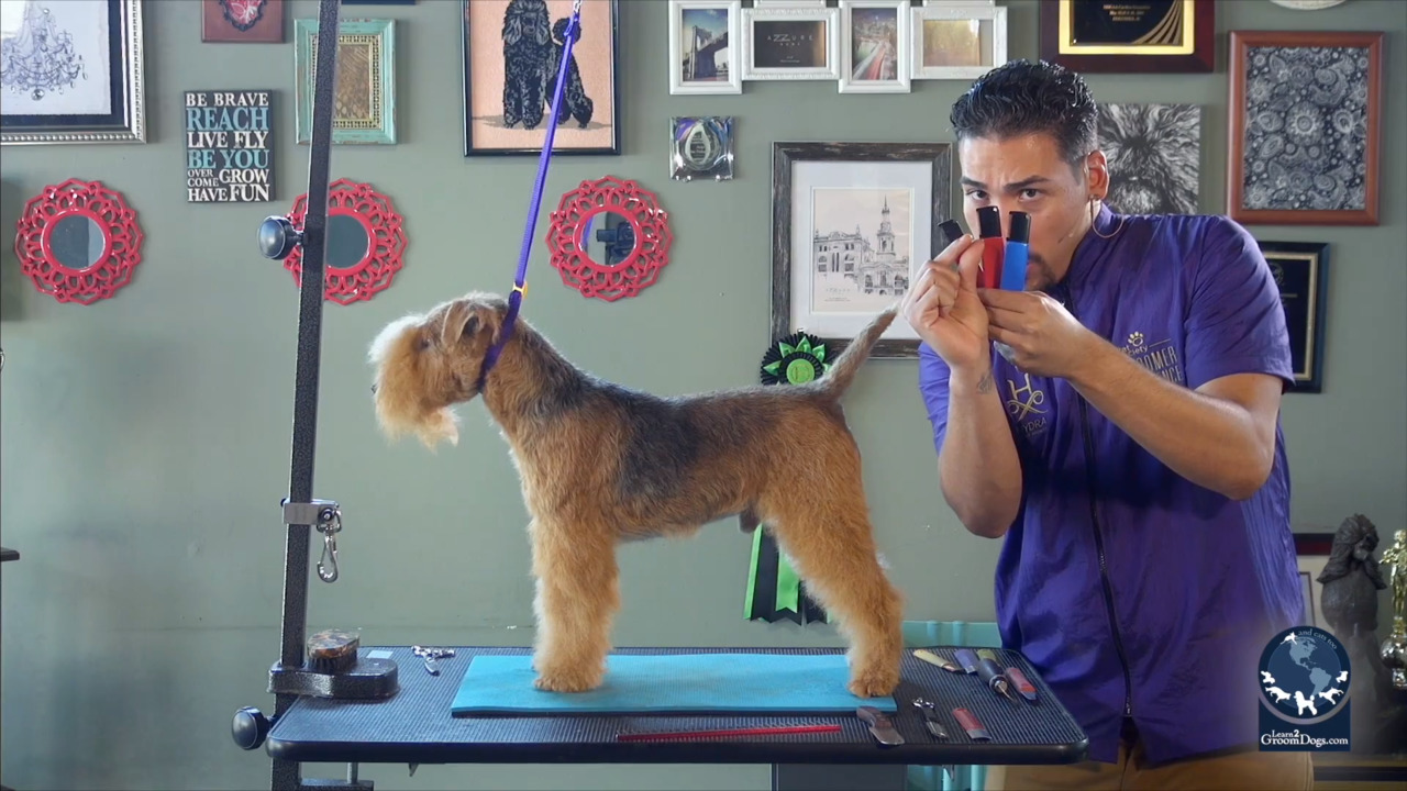Preview Image for this video