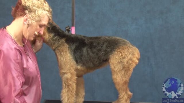 Thumbnail for Setting in the Airedale Shoulder