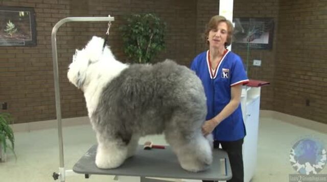Thumbnail for How to Groom a Pet Old English Sheepdog in a Long Puppy Cut
