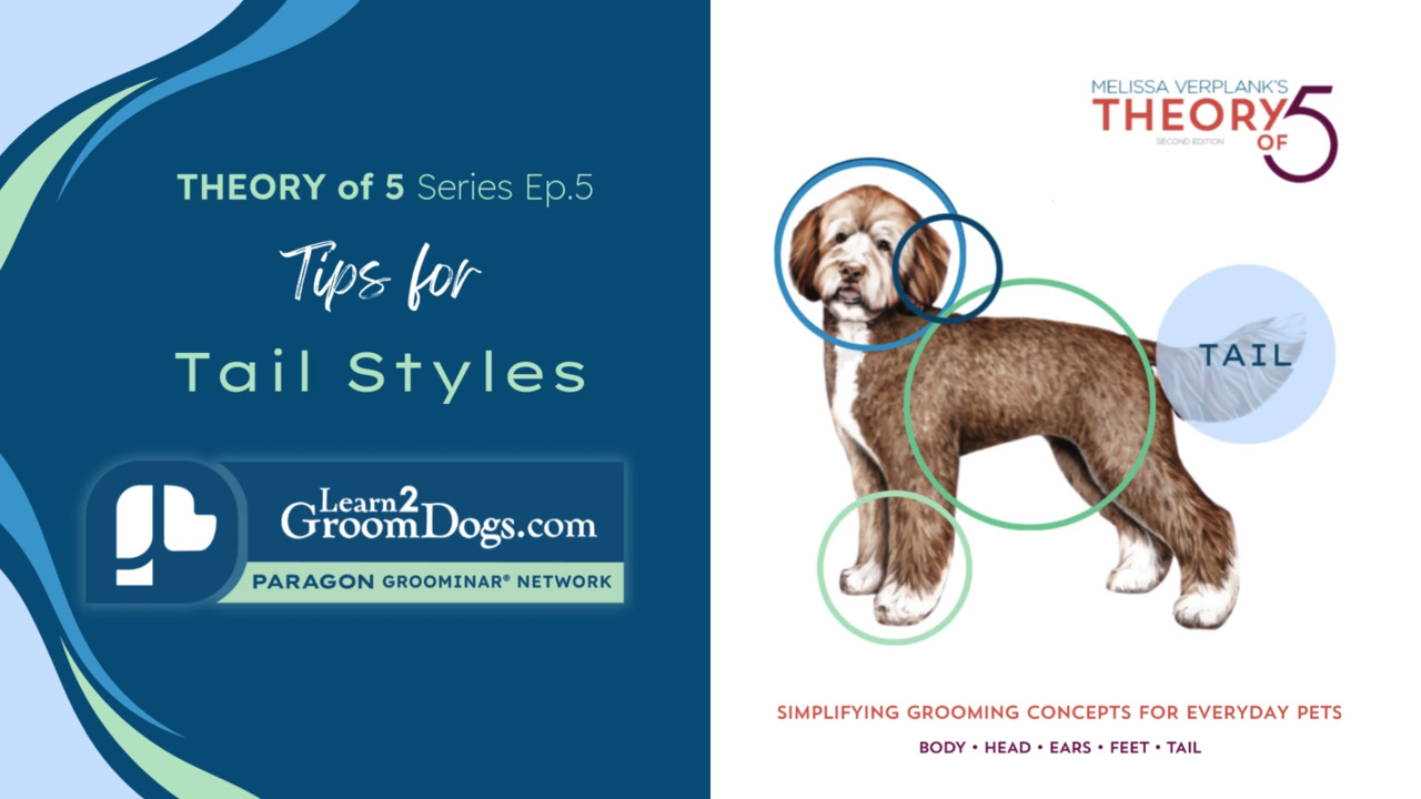 Thumbnail for Theory of 5 Series Episode 5: Tips for Tail Styles