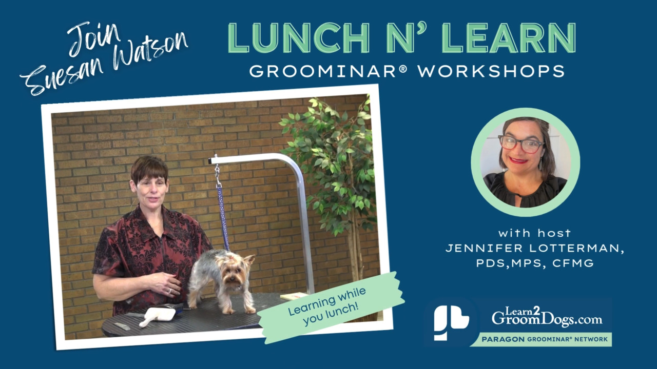 Thumbnail for Lunch N’ Learn: Asian Inspired Yorkshire Terrier Trim