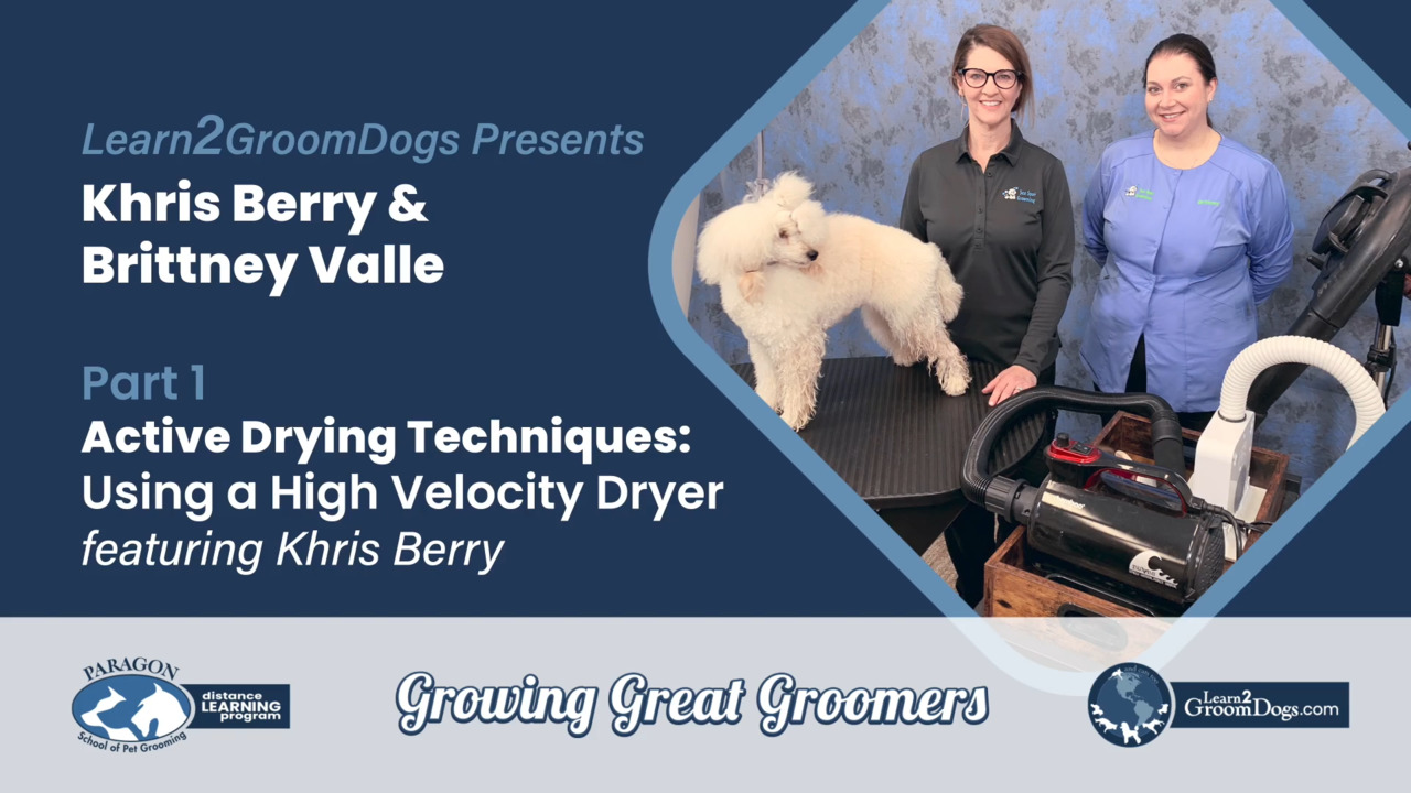 Thumbnail for Active Drying Techniques with a High-Velocity Dryer