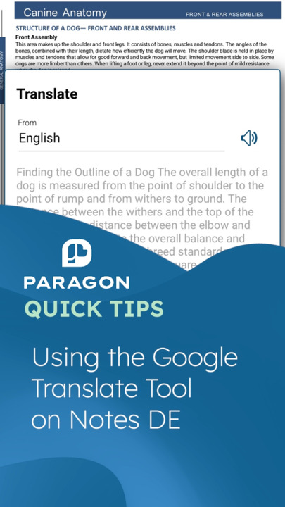 Thumbnail for Quick Tips: Using the Google Translate Tool on Notes DE