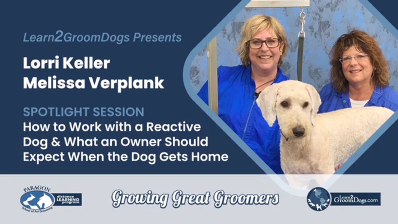 Thumbnail for Spotlight Session: How to Work with a Reactive Dog & What an Owner Should Expect When the Dog Gets Home