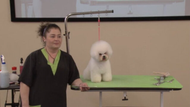 Thumbnail for Grooming a Show Style Bichon (Part 3 of 3-Part Series: Q&A from the audience)