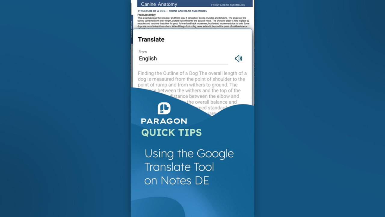 Thumbnail for Quick Tips: Using the Google Translate Tool on Notes DE