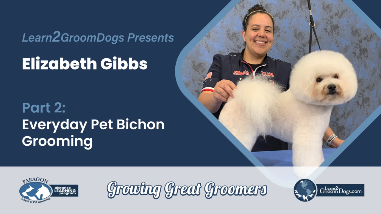 Thumbnail for Everyday Pet Bichon Grooming (Part 2 of 3)