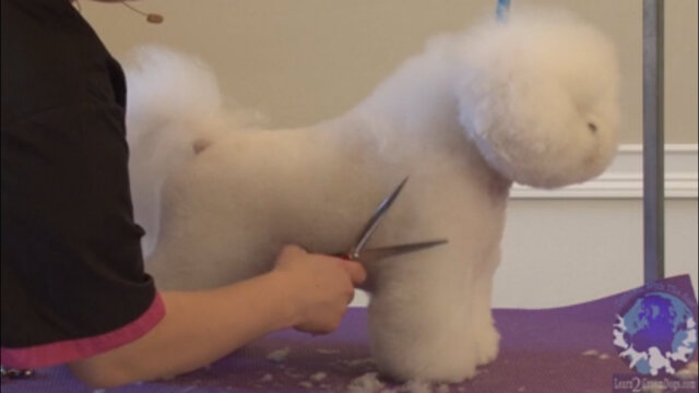 Thumbnail for Setting the Underline Area on a Show Styled Bichon