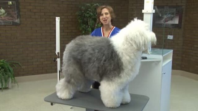 Thumbnail for How to Line Brush an Old English Sheepdog