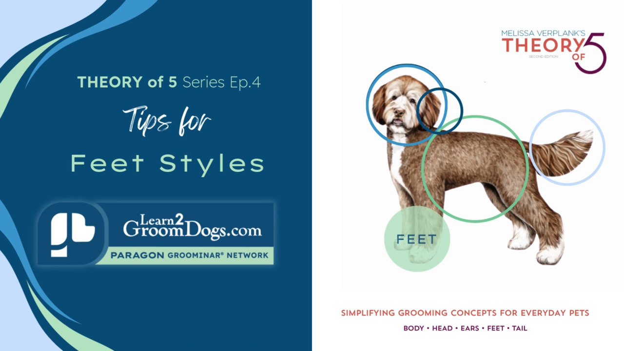 Thumbnail for Theory of 5 Series Episode 4: Tips for Feet Styles