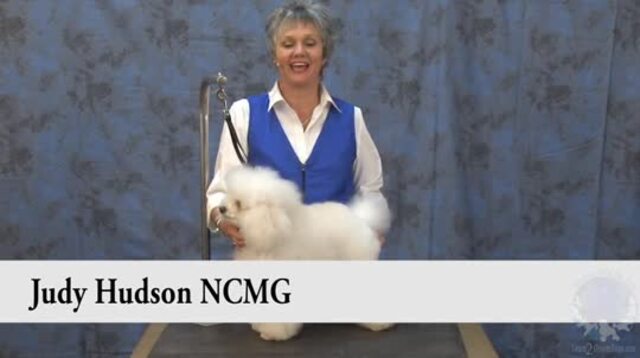 Thumbnail for Grooming a Toy Poodle in a German Trim