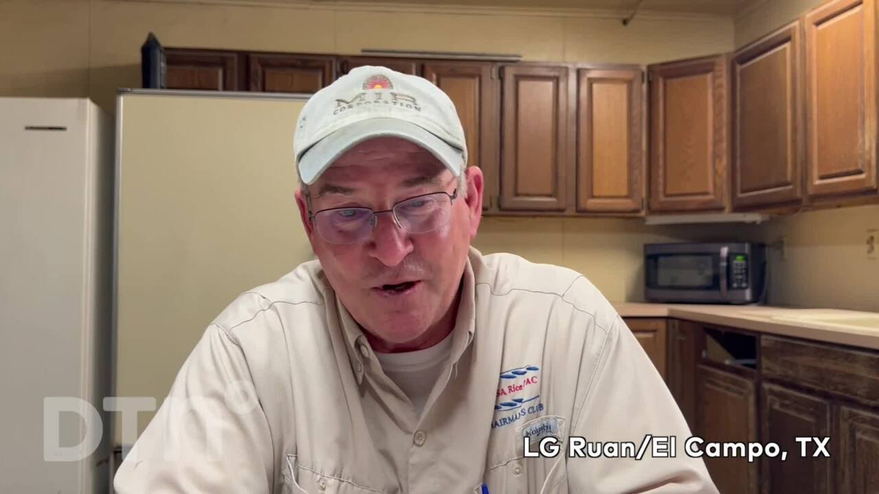 Declining Rice Production in Texas