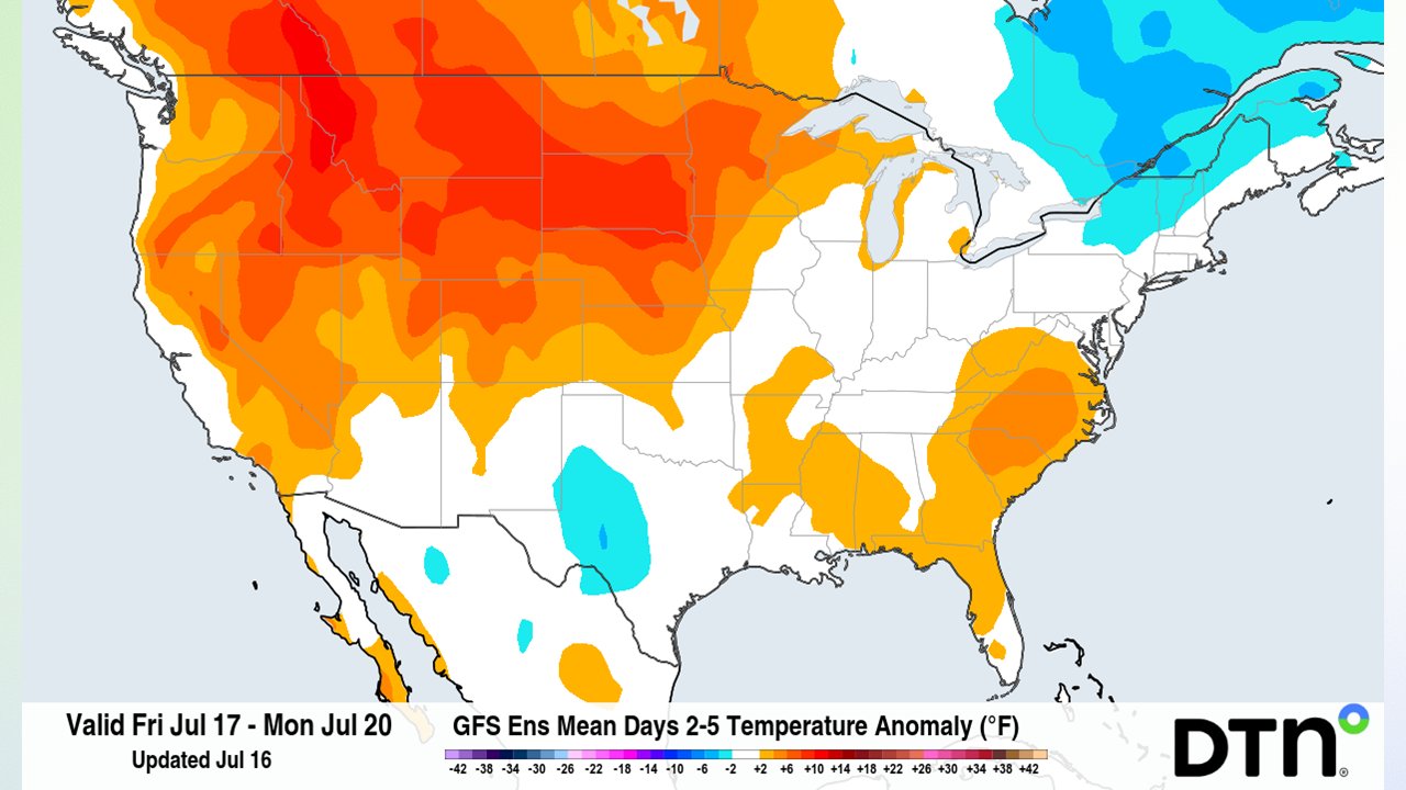 Market Weather Outlook