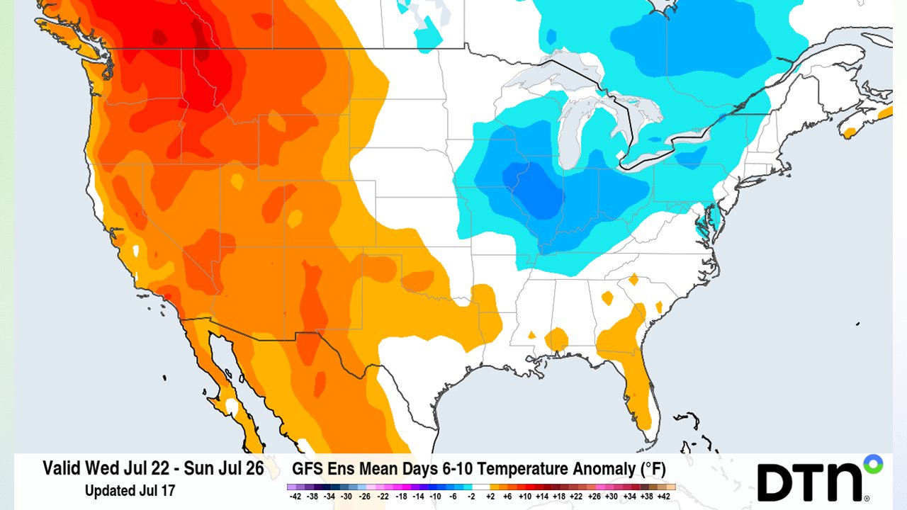Market Weather Outlook