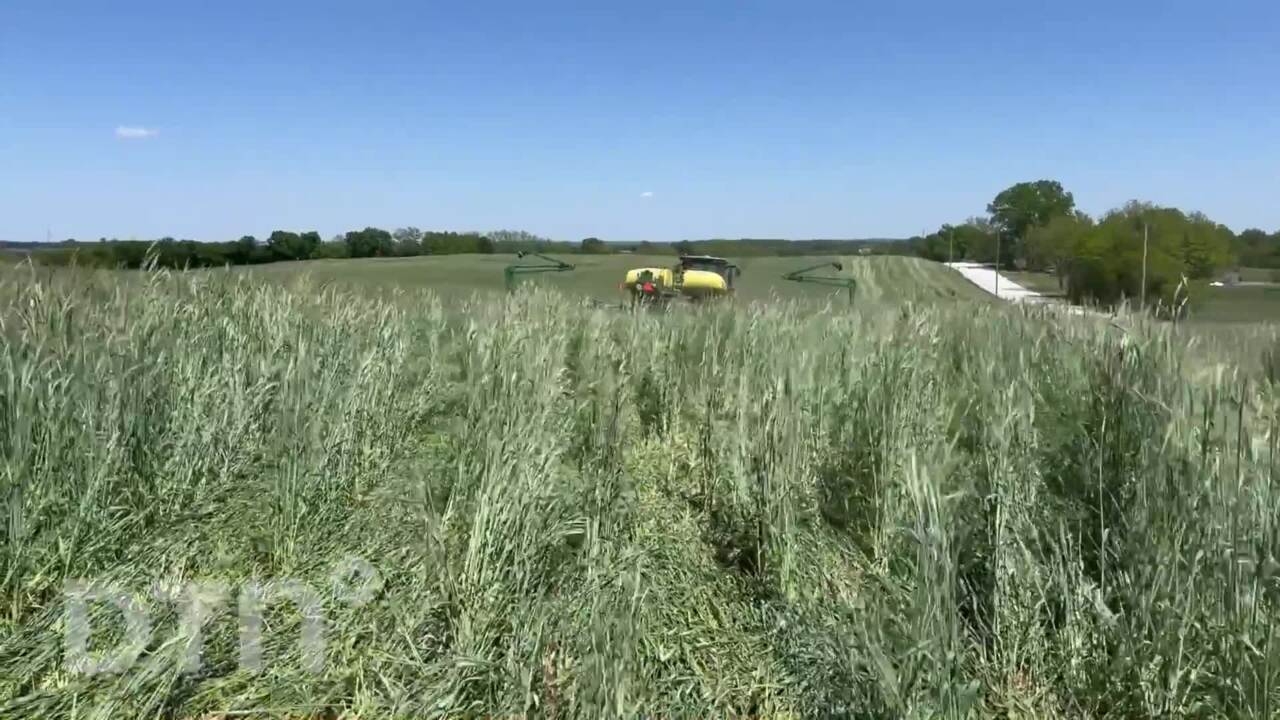 Planting Soybeans Directly into a Cover Crop