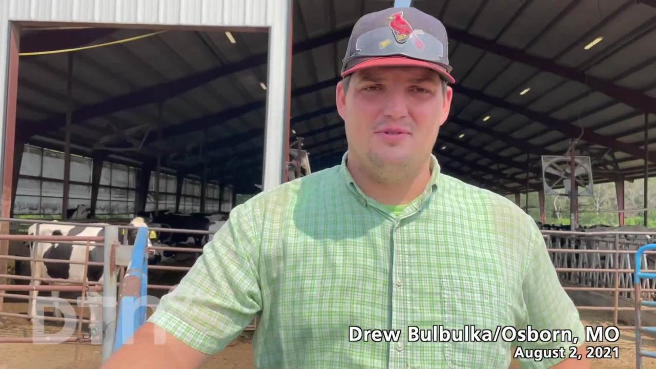 2021 Digital Yield Tour - Bubulka