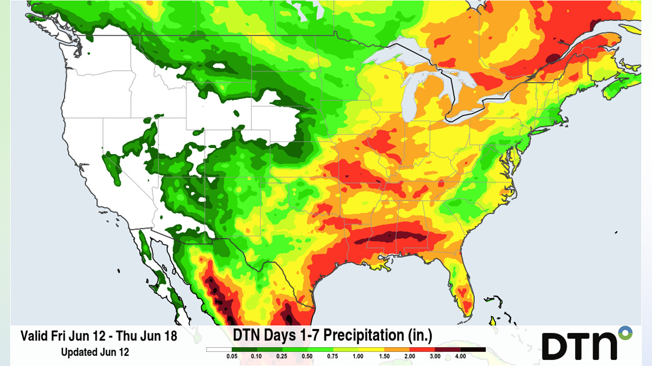 Market Weather Outlook