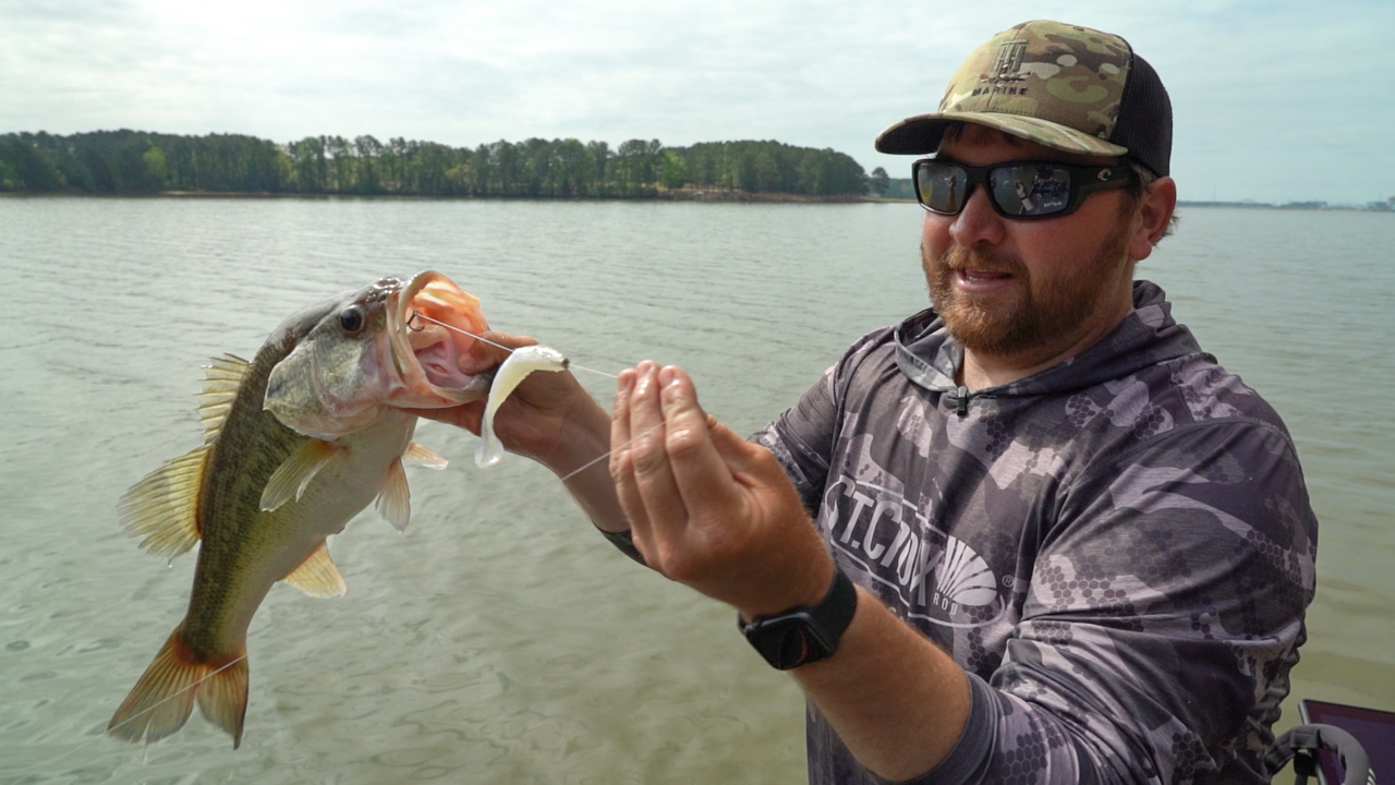 Wiggins' slick trick for homemade line-through swimbaits - Major League  Fishing