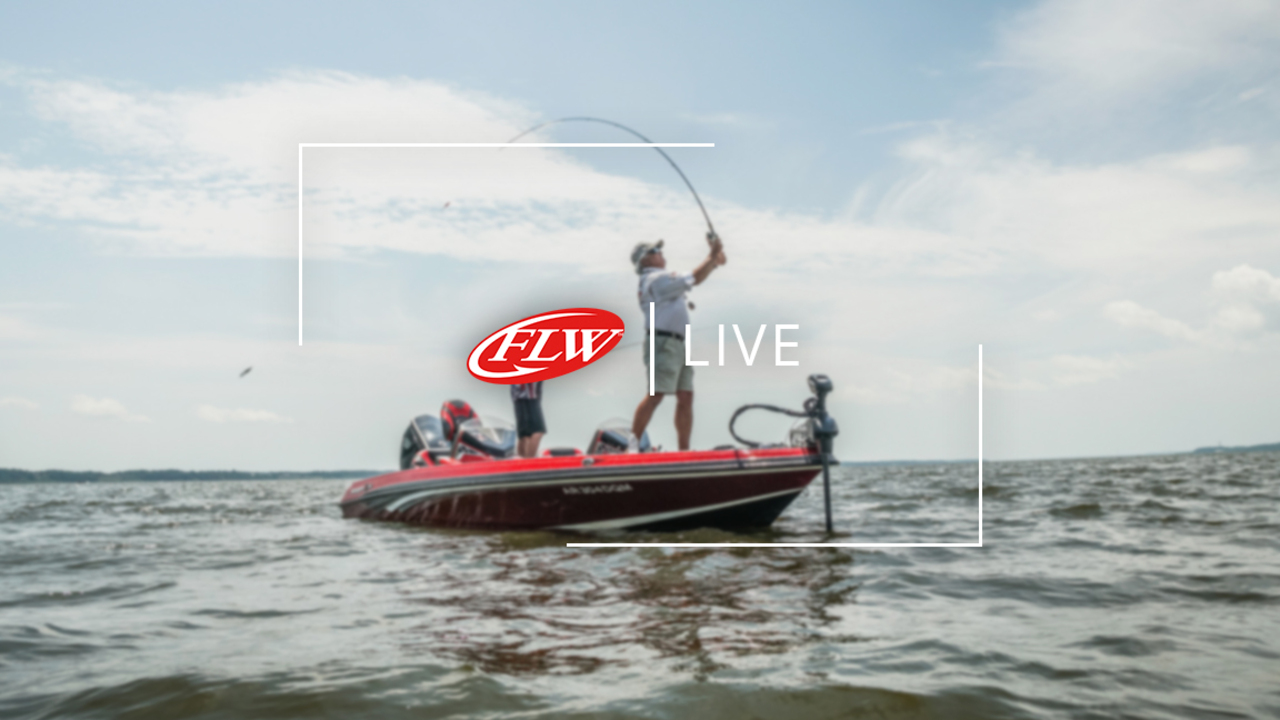 Flw live store