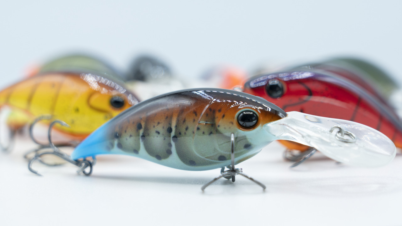 The Truth About Topwater Lure Colors (And Whether Or Not Color Matters)