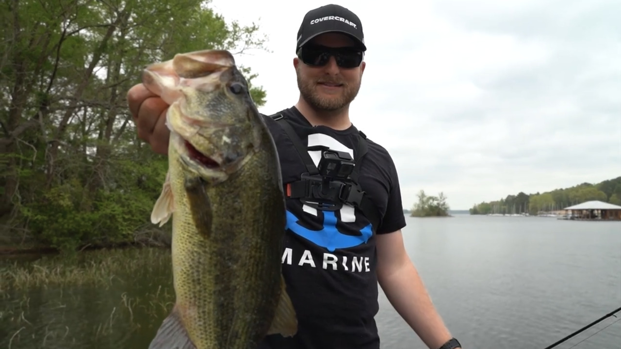 This crazy guy took my cut bait : r/bassfishing