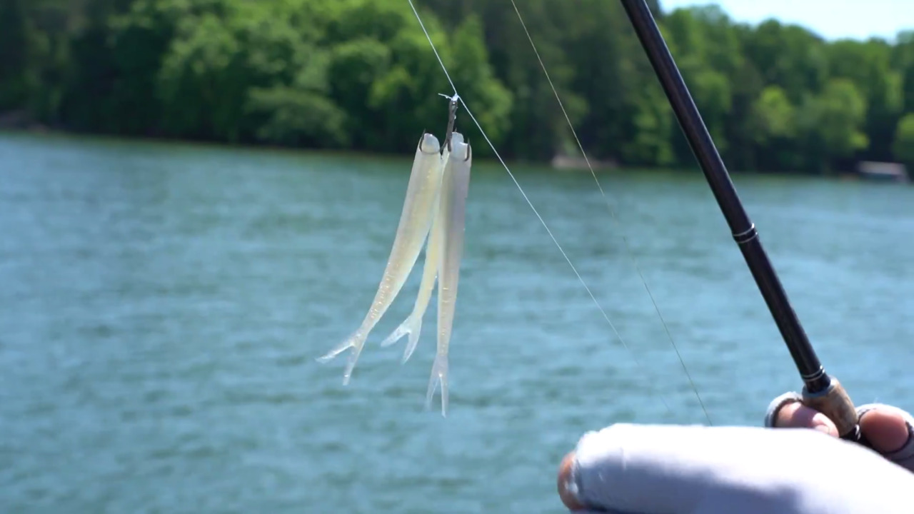 How to Rig My Drop Shot Baits Correctly!, How to Rig My Drop Shot Baits  Correctly! Z-Man Fishing Products