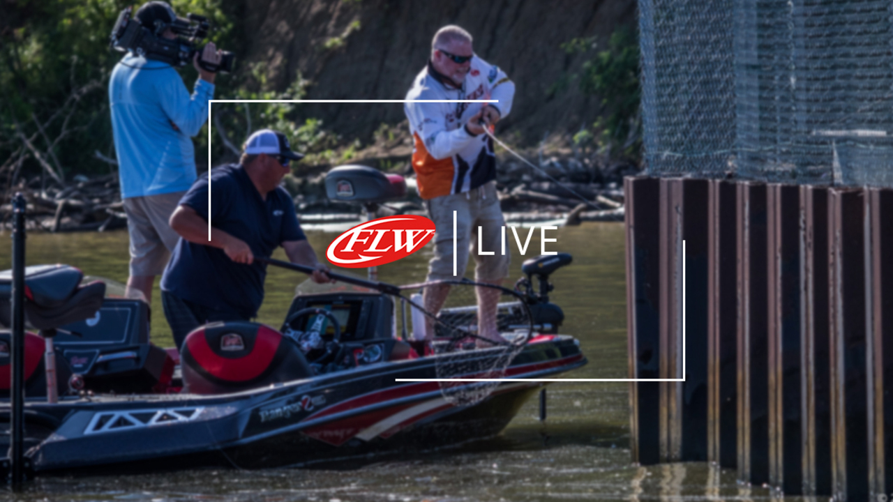 Flw live deals