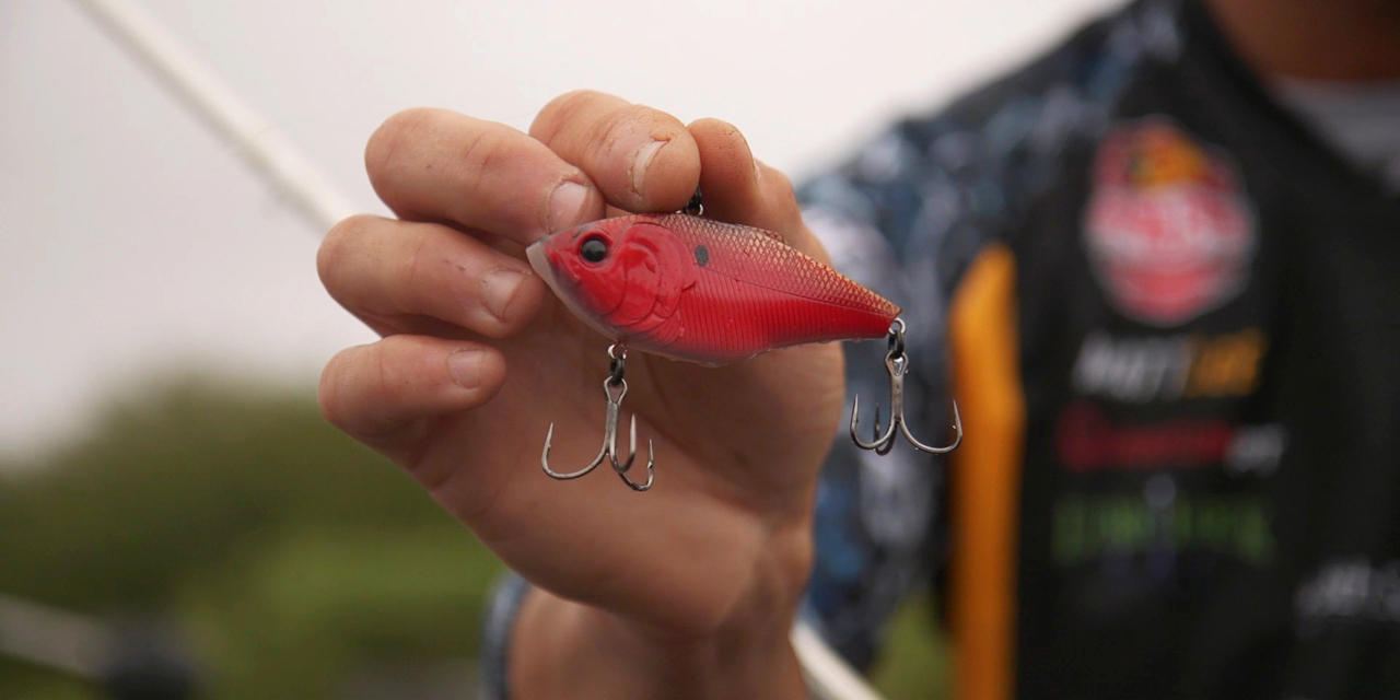5 Baits That MLF Pro Matt Lee Can't Do Without - Major League Fishing