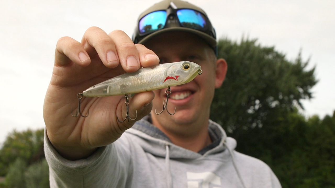 Ask the Anglers Presented by Champion: What's Your Go-To Bait for the Fall  Transition? - Major League Fishing