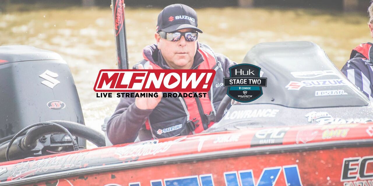 mlf live