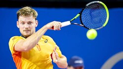 Hot Shot: Goffin Floats Like A Butterfly, Stings Like A Bee
