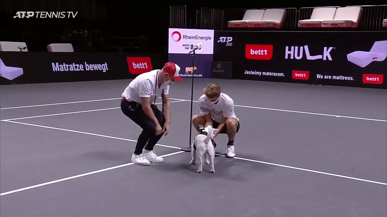 The Special Surprise Alexander Zverev Got After His Cologne Win ATP Tour Tennis