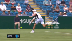 Hot Shot: Purcell's Amazing Forehand Winner On The Run