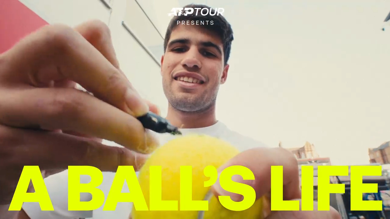 A Ball's Life 