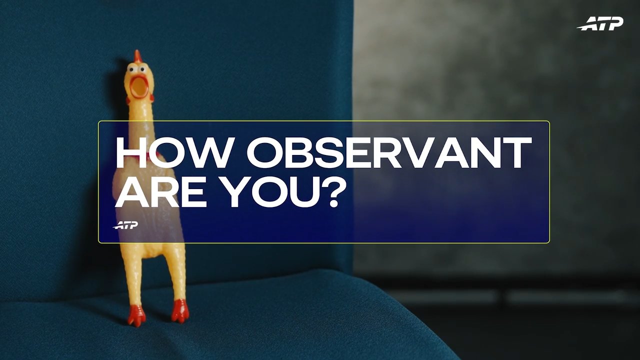 How observant are you? Can Fritz, Ruud & Co. spot a surfboard, apples & more